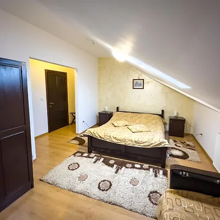 Pensiunea Casa Anca 4*