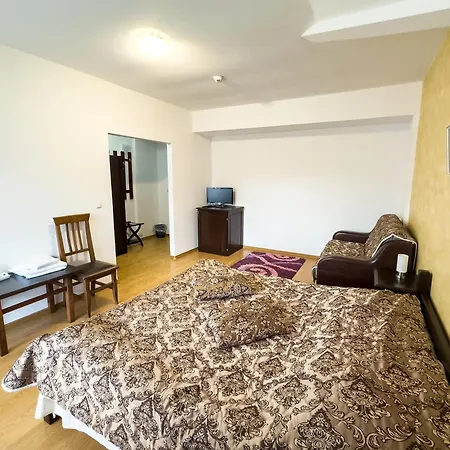 Gasthuis Pensiunea Casa Anca 4*