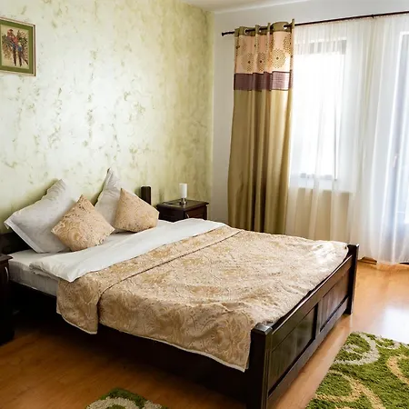 Pensiunea Casa Anca 4* Agapia